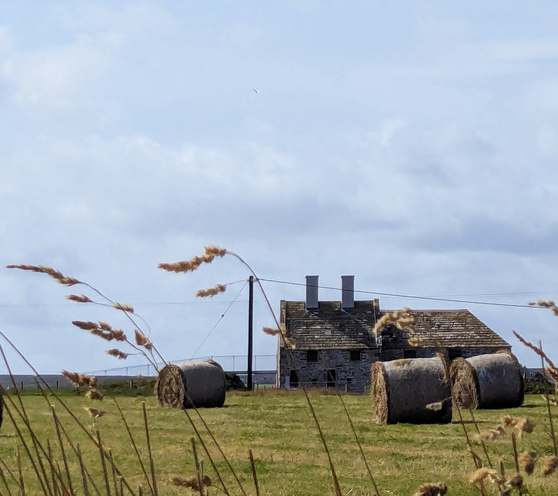 Background image - Eastmay1 Mobileimage