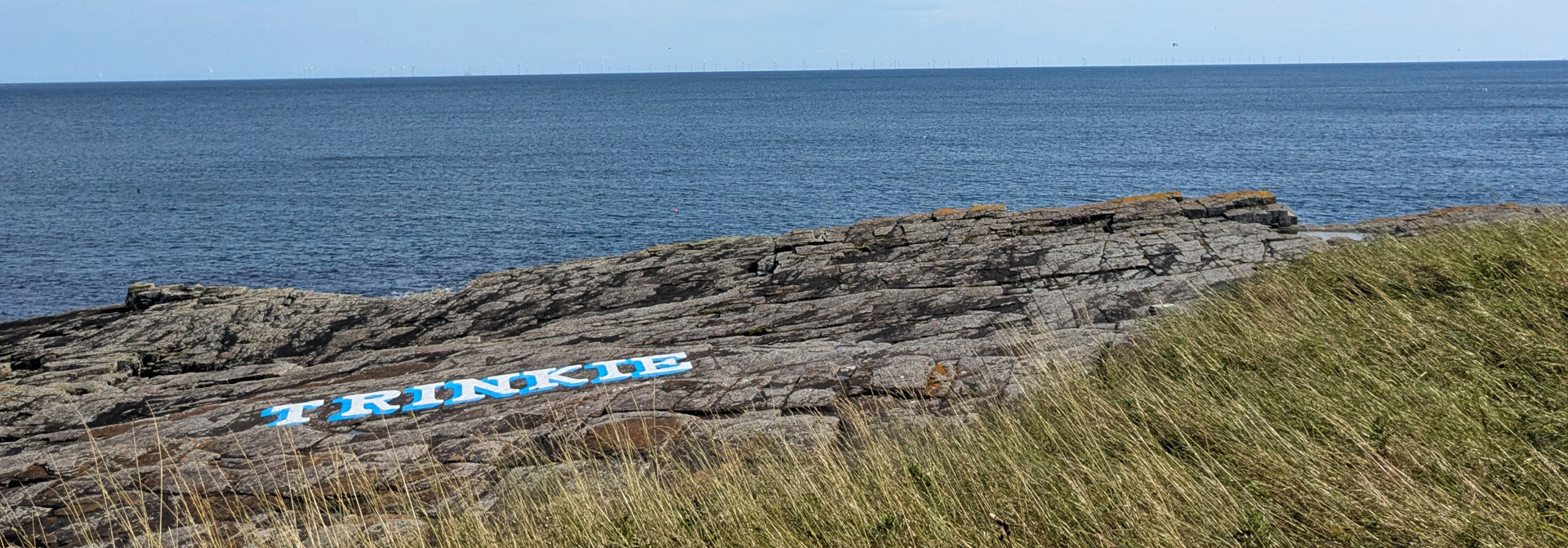 Background image - Trinkie Webbanner